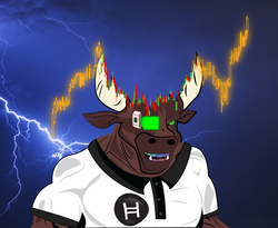 HBAR NFT Collection Whitelist Bull